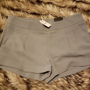 Express Shorts